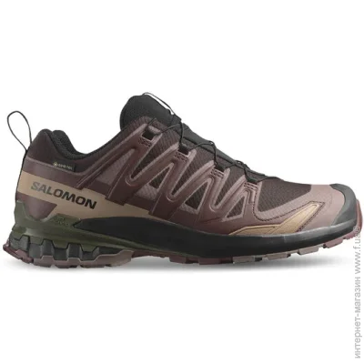   Salomon Xa Pro 3D V9 Gore-Tex (L47583500-42)