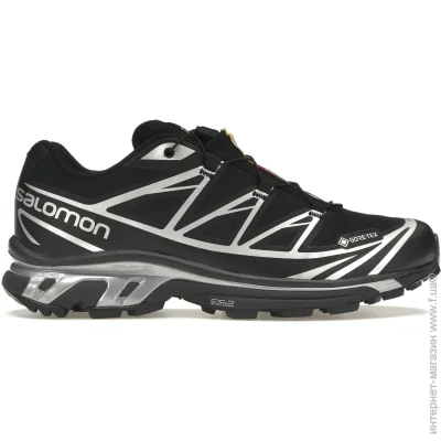    Salomon XT-6 GORE-TEX (L47450600-42)