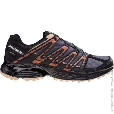   Salomon Xt Reckon Gtx (L47213600-42.5)