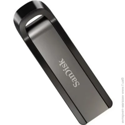  USB 3.2 Sandisk 256 GB Extreme Go (SDCZ810-256G-G46)
