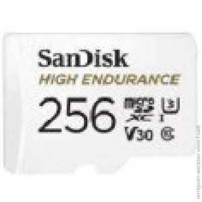  ' Sandisk 256 GB microSDXC Max Endurance UHS-I U3 V30 (SDSQQVR-256G-GN6IA)