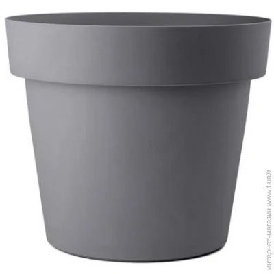 Sanja Ippi    35   18 