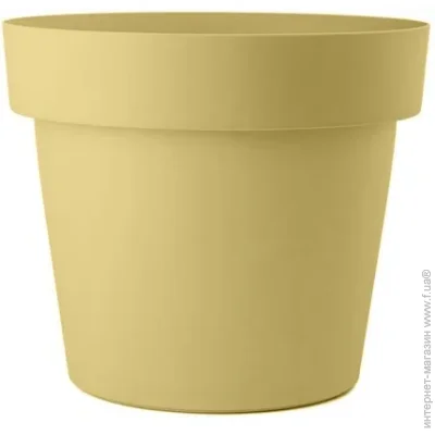Sanja Ippi     6 .