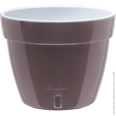  Santino   Asti  / 12  (2009357)