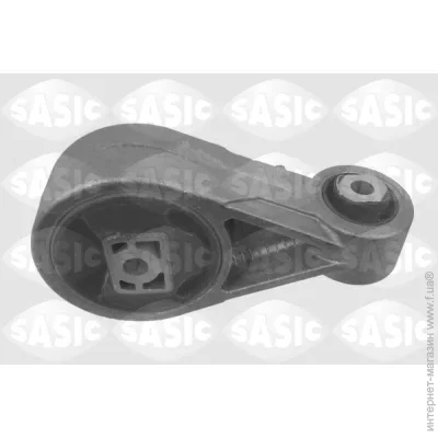   Sasic 9002569