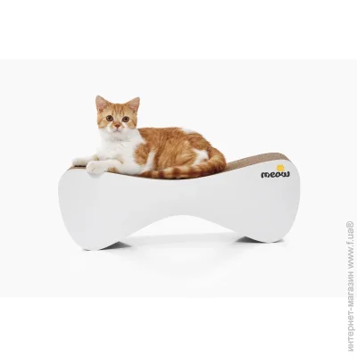 Say Meow -   Cloud, , 61*21*24