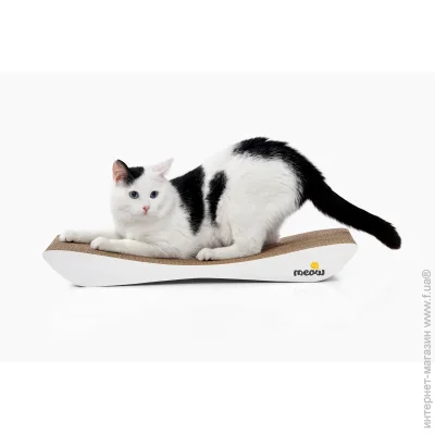 Say Meow - Dream   57*7*24