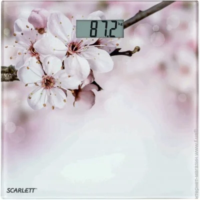    Scarlett SC-BS33E001 ()