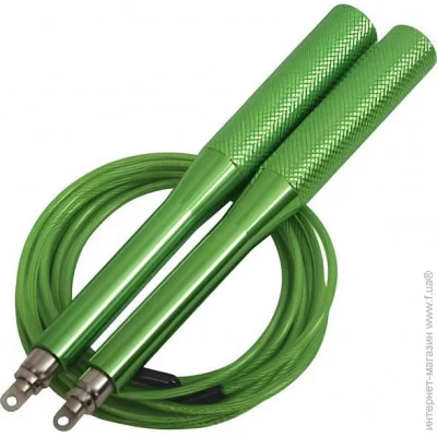 Schildkrot   960024, 300  (M-8228817)