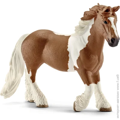 Schleich-S Գ   ҳ (13773)