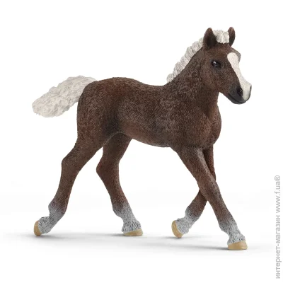 Գ Schleich-S   (13899)