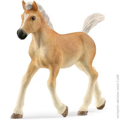 Գ Schleich-S   (13951)