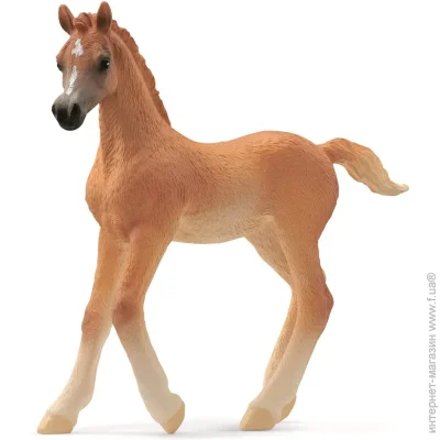 Գ Schleich-S   (13984)