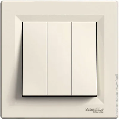  Schneider Electric Asfora  (EPH2100123)
