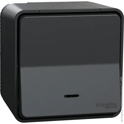  Schneider Electric   Mureva Styl    MUR35024