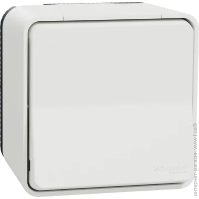  Schneider Electric   Mureva Styl    MUR39021