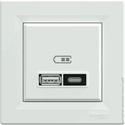  USB + Type C Schneider Electric Asfora IP20  EPH2700521