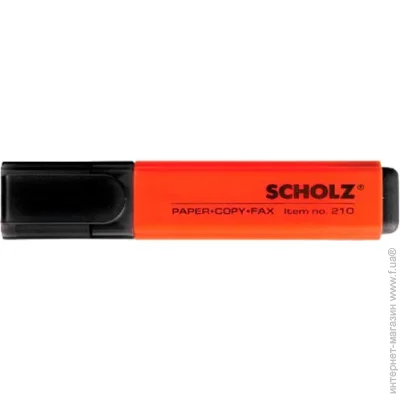 Scholz   01100211 