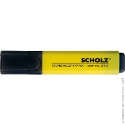 Scholz   01100213 