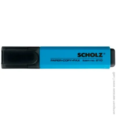 Scholz   01100215 