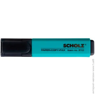 Scholz   01100216 