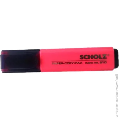 Scholz   01100241 