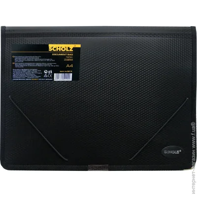    Scholz     (03100179)