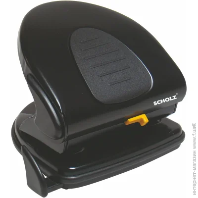 Scholz  30     4314