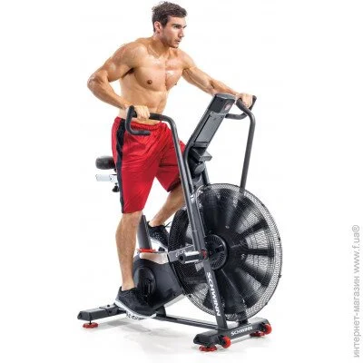    Schwinn AIRDYNE AD8 (708447909381)