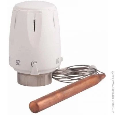 SD Forte     Sfe010