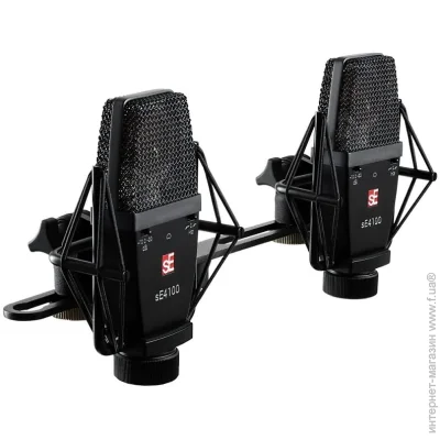  sE Electronics sE4100 (P)