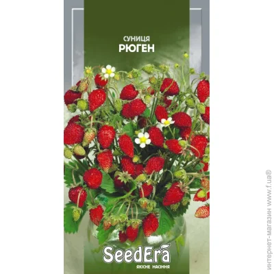 Seedera   0,05  0.05 