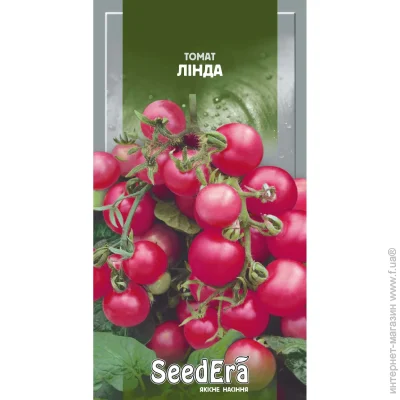Seedera   ˳ 0,1 (4823073714492) 0.1 
