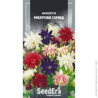 Seedera      0,1  (4823114400995) 0.1 