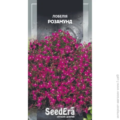 Seedera   0,1  (4823114401213) 0.1 