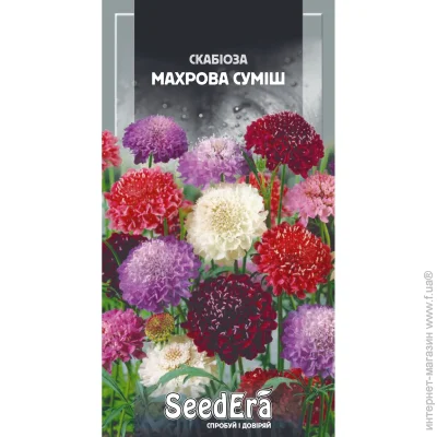 Seedera      0,1  (4823114401343) 0.1 