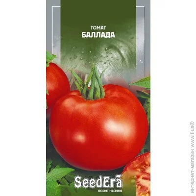 Seedera    0,1 0.1 
