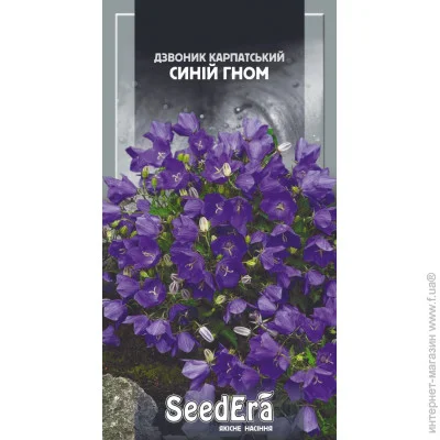 Seedera      0,1  0.1 