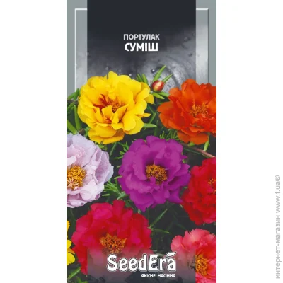 Seedera   0,1  0.1 