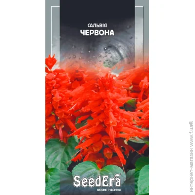 Seedera    0,1  0.1 