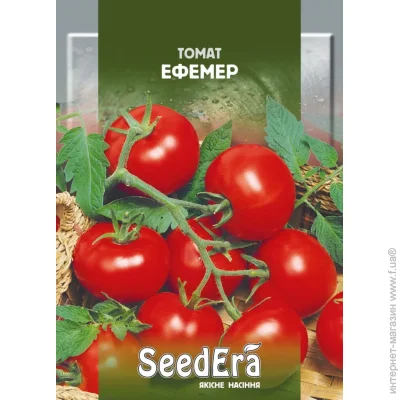 Seedera    0,1 (4823073703304) 0.1 