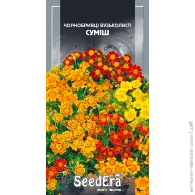 Seedera    0,1  0.1 