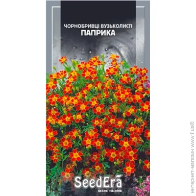 Seedera     0,1  0.1 