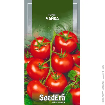 Seedera    0,1 (4823073721872) 0.1 
