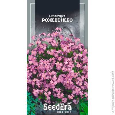 Seedera    0,1  0.1 
