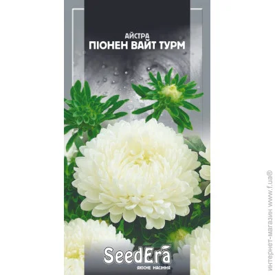 Seedera      0,25  0.25 
