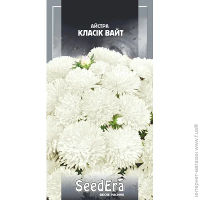 Seedera     0,25  0.25 