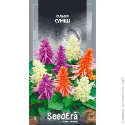 Seedera    0,2  0.2 