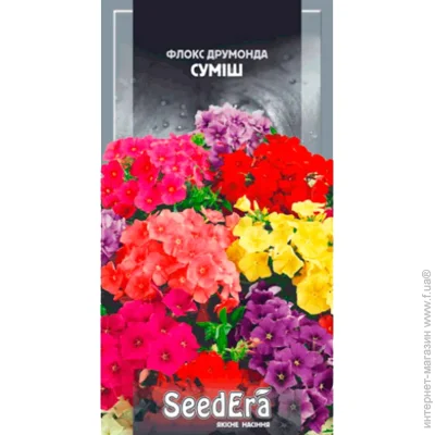 Seedera    0,2  0.2 
