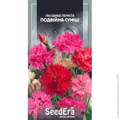 Seedera     0,2  0.2 